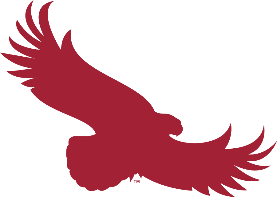 St. Joseph's Hawks 2018-Pres Alternate Logo iron on transfers for T-shirts